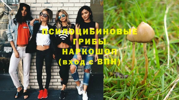spice Армянск