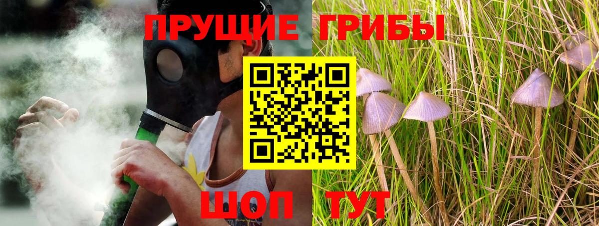 Полевской  что такое наркотик  Вход с VPN  Галлюциногенные грибы мицелий  Псилоцибиновые грибы мухоморы 